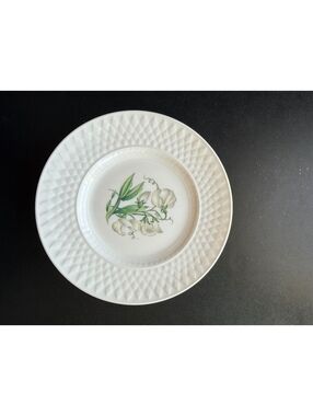 Set of 9 Discontinued Spode Virginia Y8601 Fine Bone China 6.25” Side Plates